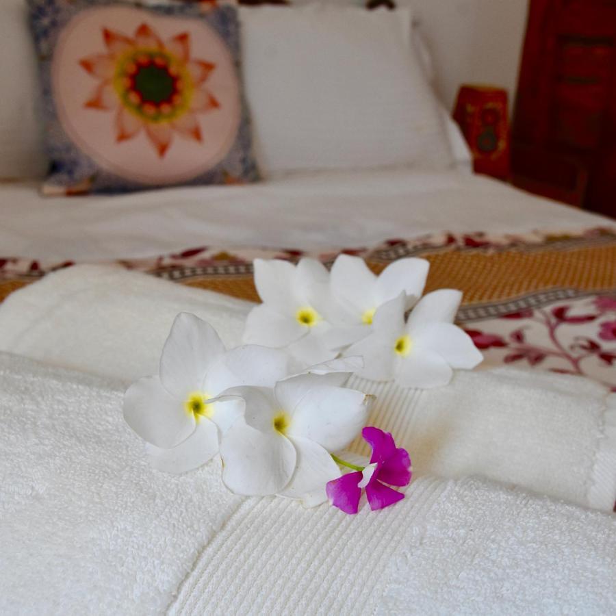 Jasmin Villa Hampi Extérieur photo